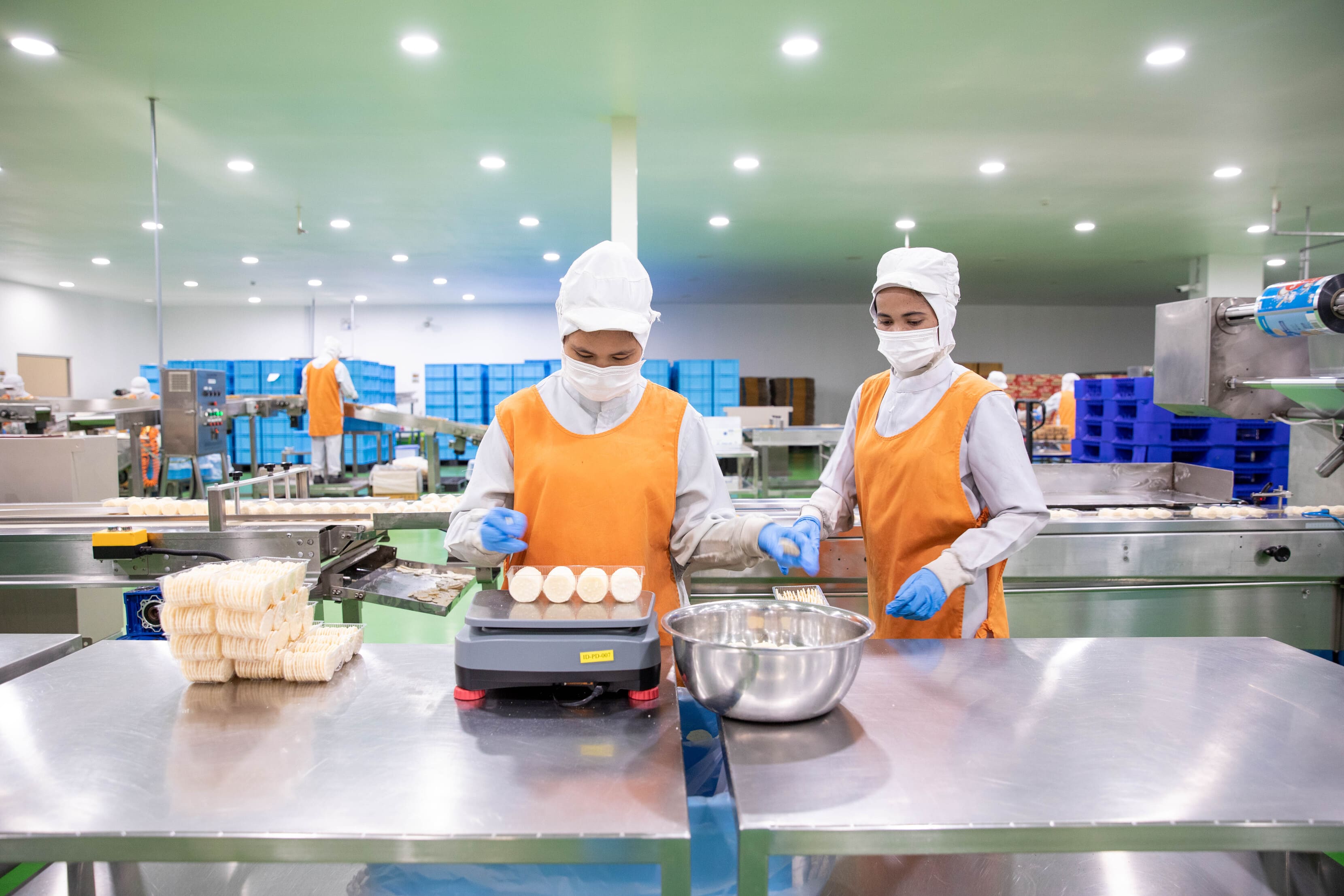 Trade, Investment & Enterprise Development