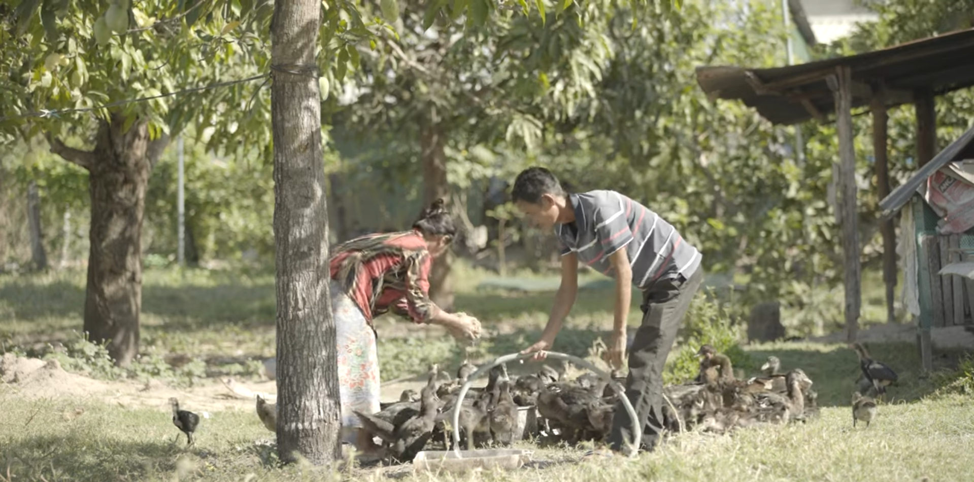 Australia is proud to support Cambodia in fostering an inclusive business environment