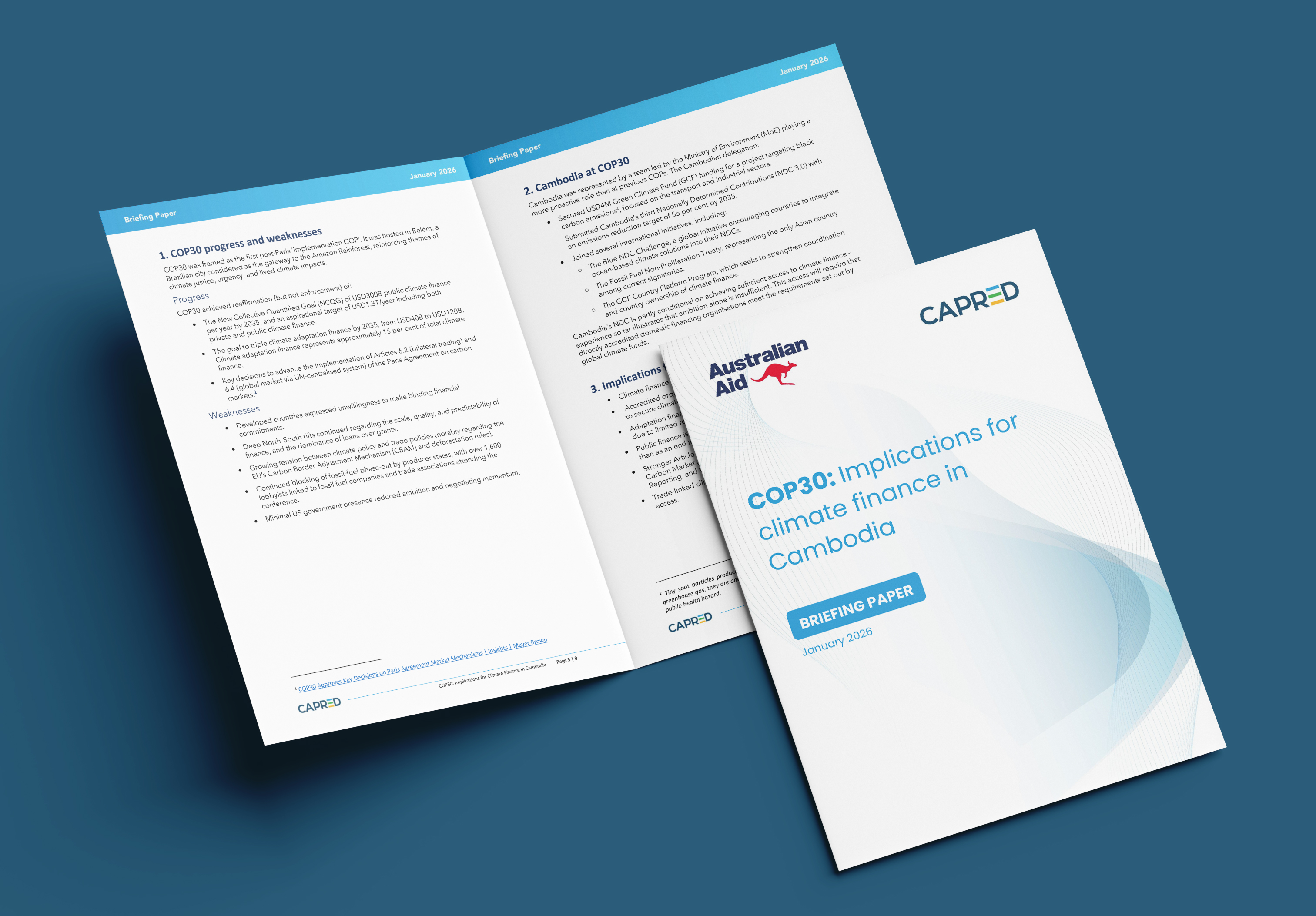 January 2026 COP30 Sustainability Brief