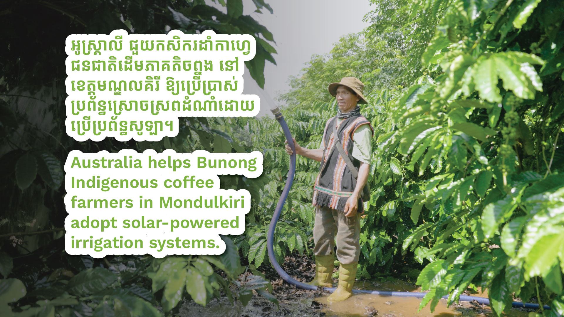 Australia improves energy security for Indigenous coffee farmers in Mondulkiri